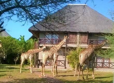 Rhulani Kruger Villa Marloth Park Exterior photo